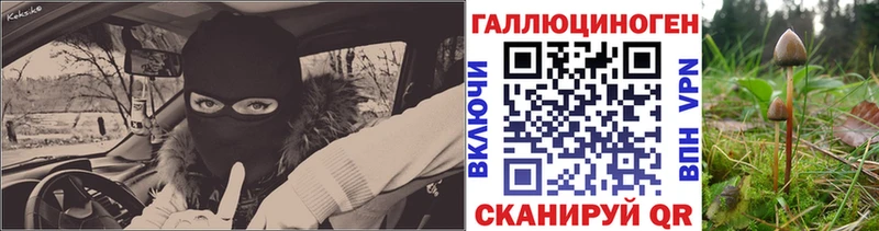 это клад Балашиха Псилоцибиновые грибы мухоморы